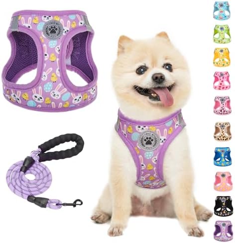 BEAUTYZOO Small Dog Harness and Leash Set,No Pull Puppy Pet Vest- Purple, S by BEAUTYZOO
