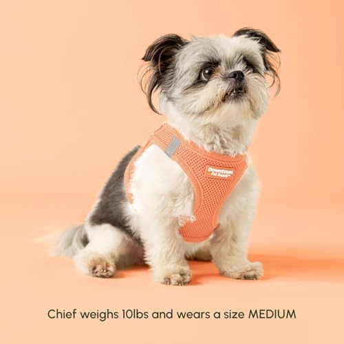 Downtown Pet Supply Step-In Dog Harness for Large Dogs - Adjustable, Escape-Proof Dog Harness with Reflective Trim - All-Weather, Fast-Drying Padded Mesh Fabric - Tangerine - Image 4