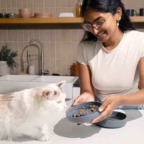 Slow Feeder Dog Bowl - Silicone Dog Bowl, Small, 6" x 1.25"- Charcoal - Image 6