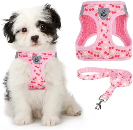 KOOLTAIL Dog Harness for Small Medium Dogs,Dog Harness and Leash Set, Step in No Pull Soft Mesh Padded Adjustable and Reflective Pet Vest Harness Puppy, Plaid Extra Harness for XS S Dogs,Pink Cherry,S by KOOLTAIL