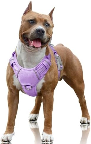 BARKBAY No Pull Dog Harness Large Reflective Dog Harness with Front Clip and Easy Control Handle for Walking Training Running with ID tag Pocket(Violet Purple,L) by BARKBAY