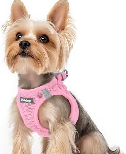 rabbitgoo Step-in Small Dog Harness, Puppy Vest for Small Sized Pet by rabbitgoo