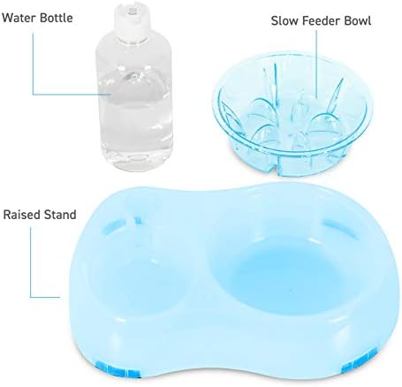 Slow Feeder Bowl, Elevated, Double Transparent for Cats, Small Dogs, Pet Automatic Water Feeder with Water Bottle - Image 2