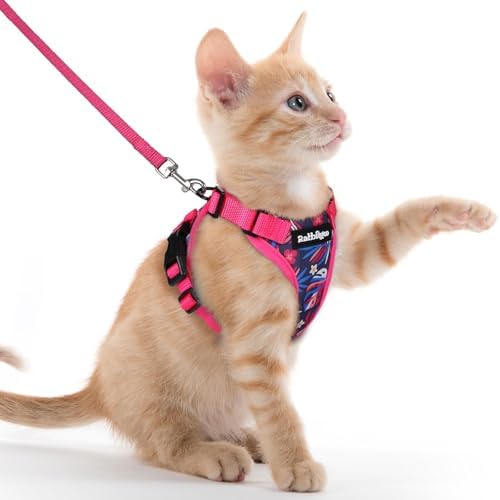 rabbitgoo Cat Harness and Leash Set, Escape Proof Vest, Coconut Fuchsia by rabbitgoo
