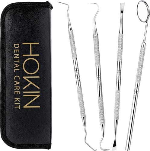 Dental Tools HOKIN Plaque Remover Teeth Cleaning Tool 4 Pcs Dental Care Kit Tooth Filling Repair Set Stainless Steel Dental Tools for Men Women Kids and Pet Care by HOKIN