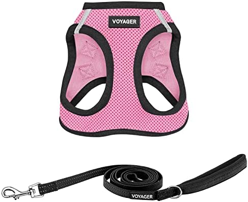 Best Pet Supplies Voyager Step-in Air All Weather Mesh Harness and Reflective Dog 5ft Leash Combo with Neoprene Handle, for Small, Medium and Large Breed Puppies - Pink Base, Small by BestPetSuppliesLLC