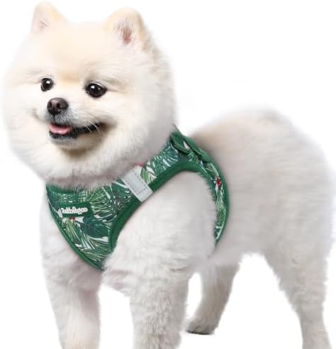 rabbitgoo Step-in Small Dog Harness, Puppy Vest for Small Sized Pet by rabbitgoo