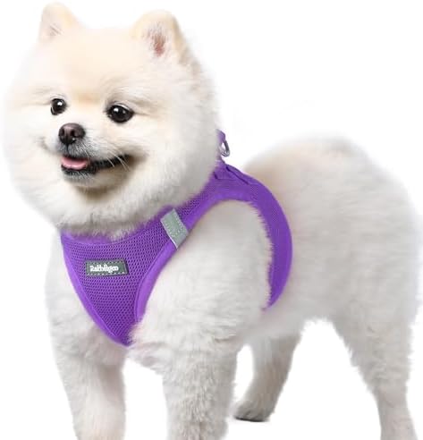 rabbitgoo Step-in Small Dog Harness, Puppy Vest for Small Sized Pet by rabbitgoo