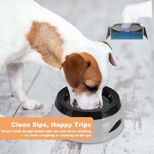 25oz Spill-Proof Dog Water Bowl – Slow Drink, No-Splash Pet Feeder for Small/Medium Dogs, Cats, Puppies & Kittens, Non-Slip Portable Bowl for Car, Travel, Home – Grey - Image 2
