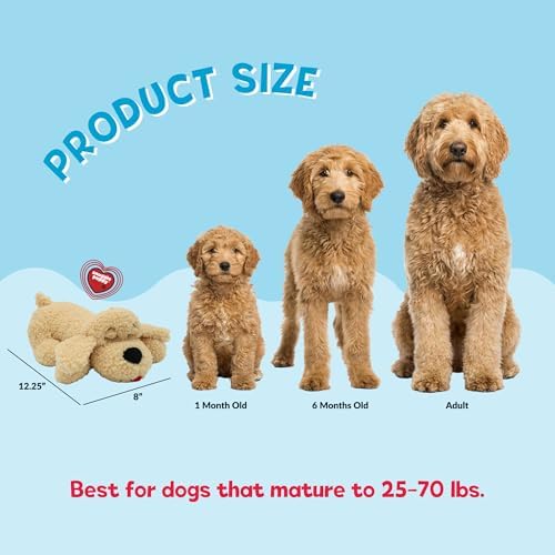 Snuggle Puppy Heartbeat Toy, Calming Comfort, Breed Buddies Goldendoodle - Image 2