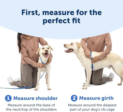 PetSafe Easy Walk Comfort No Pull Dog Harness, Blue, Small - Image 6