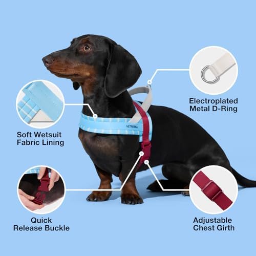 VETRESKA Dog Harness Small Sized Dog, Adjustable No Choke Puppy Harness XS - Image 6