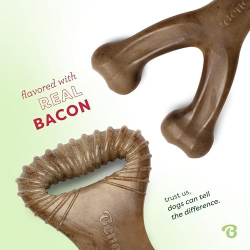 Benebone 2-Count Wishbone/Dental Durable Dog Chew Toys, Real Bacon, Small (Pack of 10) - Image 2