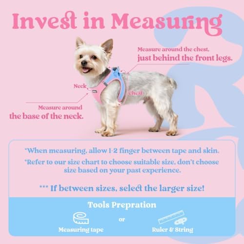 rabbitgoo Step-in Small Dog Harness, Puppy Vest for Small Sized Pet - Image 2
