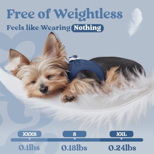 rabbitgoo Step-in Small Dog Harness, Puppy Vest for Small Sized Pet - Image 4