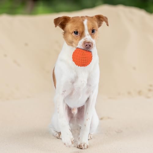 Best Pet Supplies Squeaky Dog Toys with Soft Durable Fabric for Small, Medium and Large Pets Interactive Toy for Indoor Play, Supports Active Biting and Play - Orange, Large - Image 6