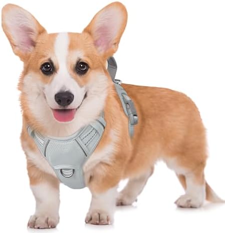 BARKBAY Dog Harness for Medium Sized Dog No Pull Dog Vest ID Tag Pocket by BARKBAY