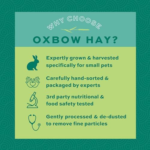 Oxbow Western Timothy Hay, Rabbit & Guinea Pig Hay, High Fiber, USA, 40 oz - Image 5