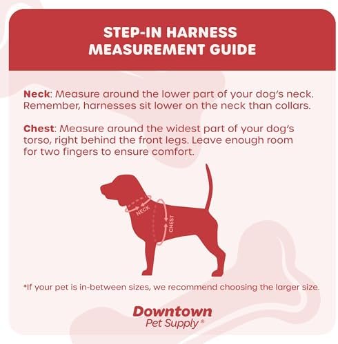 Downtown Pet Supply Step-in Dog Harness – No Pull, Adjustable Padded Mesh with Reflective Trim, Secure Buckle Strap – Comfortable & Breathable Small Dog Harness, Smal, Purple - Image 2