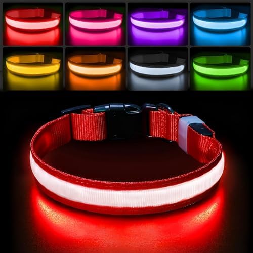 PcEoTllar Light up Dog Collar, Safe for Night Walking, Adjustable, Red, S by PcEoTllarPetSupplies