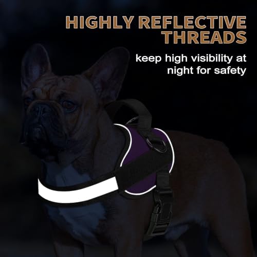 Haapaw Essential Dog Harness, No Pull Pet Vest with 3 Leash Clips, No Choke, Reflective, Adjustable and Padded, for Easy Walking and Training for Small Dogs(S, Purple) - Image 4