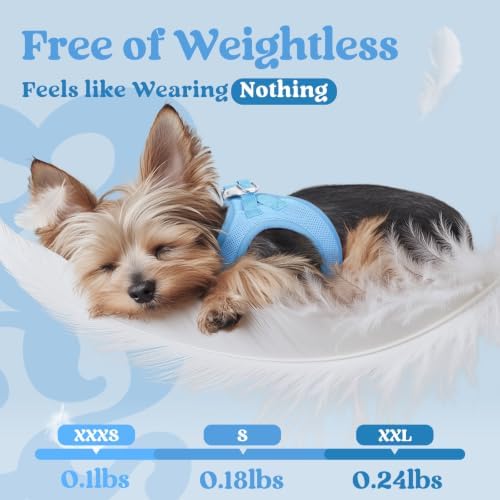 rabbitgoo Step-in Small Dog Harness, Puppy Vest for Small Sized Pet - Image 4
