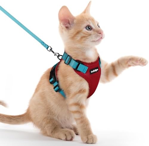 rabbitgoo Cat Harness and Leash Set, Escape Proof Vest, Red & Teal by rabbitgoo