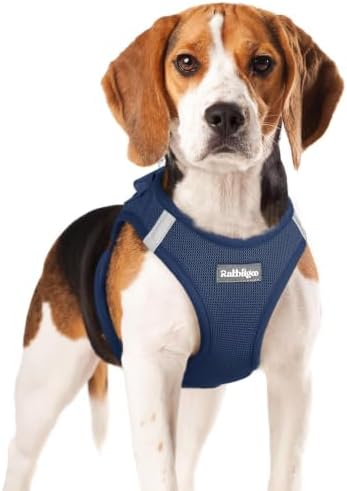 rabbitgoo Step-in Small Dog Harness, Puppy Vest for Small Medium Sized Pet by rabbitgoo