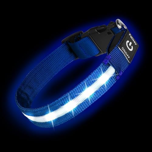 Super Bright LED Dog Collar, Waterproof Light up Collars(Blue, Medium) by PetIsay