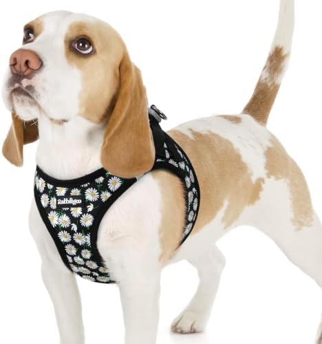 rabbitgoo Step-in Small Dog Harness, Puppy Vest for Small Sized Pet by rabbitgoo