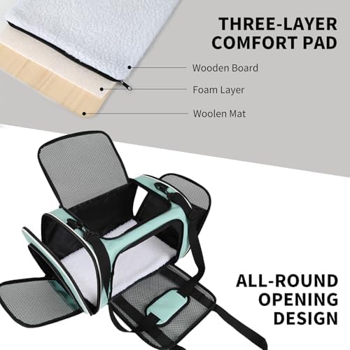 Cat Dog Carriers Soft-Sided, Pet Travel Carrier for Small Cats Dogs Under to15lbs, Soft-Solid Collapsible Carrier,(Medium,Green) - Image 2