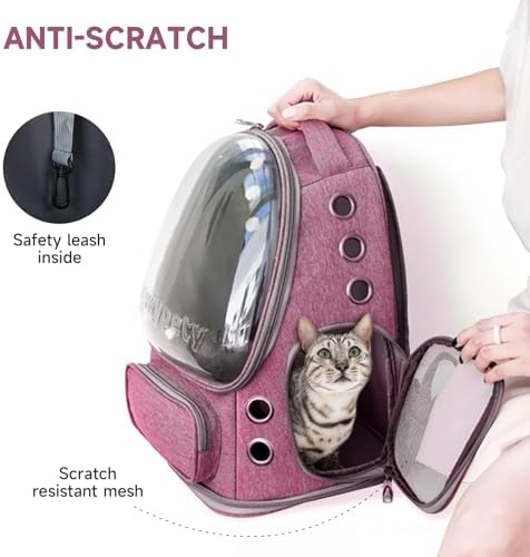 Cawypety Cat Backpack Carrier Large Space Bubble Backpack up to 12lbs Pink - Image 4