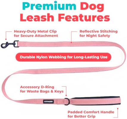 Best Pet Supplies Voyager Nylon Dog Leash - Pink, Small - Image 2