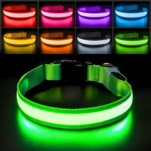 PcEoTllar Light up Dog Collar, Safe for Night Walking, Adjustable, Green, M by PcEoTllarPetSupplies