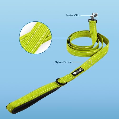 Best Pet Supplies Voyager Nylon Dog Leash - 6ft Lime Green, Large - Image 2