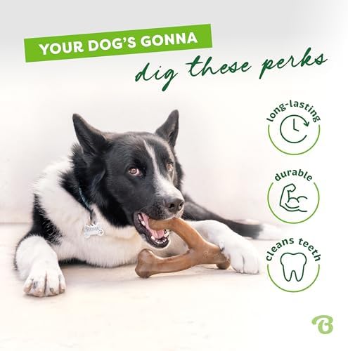 Benebone 2-Pack Wishbone Chew Toy for Aggressive Chewers, Real Bacon, Large - Image 3