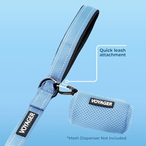 Best Pet Supplies Voyager Nylon Dog Leash - 6ft Baby Blue, Large - Image 3