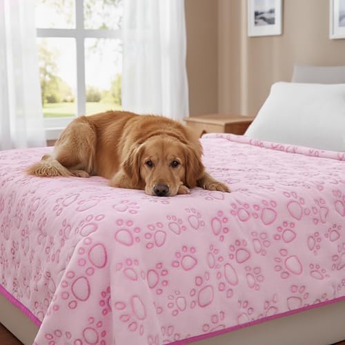 Premium Soft Dog Blankets for Large Dogs, Large Cat Blanket Calming Washable for Bed Couch Protection Cover, Dog Essentials for Dog, 66 * 82 inches, Pink by STUFFED