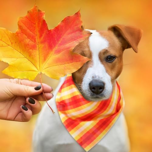 Weewooday 50 Pcs Fall Thanksgiving Plaid Dog Bandanas Bulk for Small - Image 6