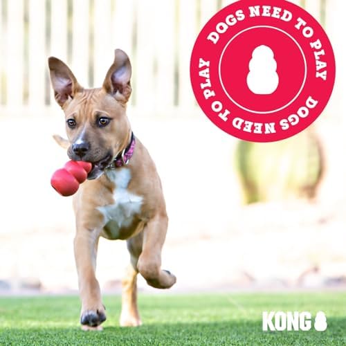 KONG Puppy Binkie, Natural Rubber Teething Toy, for Medium Puppies, Blue - Image 6