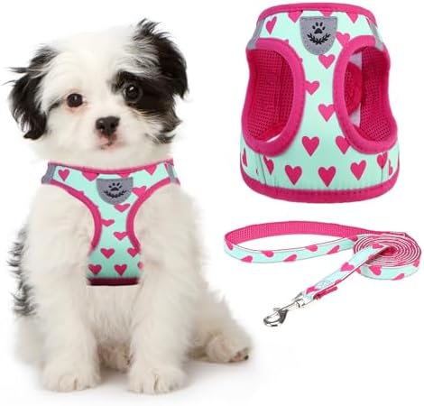 KOOLTAIL Valentines Dog Harness and Leash Set for Small Medium Dogs, Step in No Pull Soft Mesh Dog Harness Padded Pet Vest, Adjustable Reflective Easy Walking Puppy Harnesses Training, Pink Heart S by KOOLTAIL