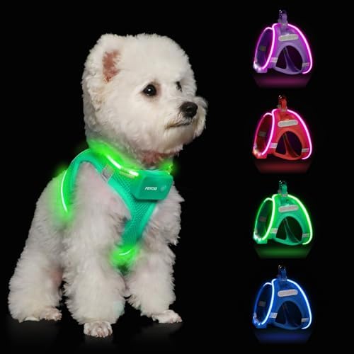 Light Up Dog Harness, Rechargeable LED Dog Harness for Small Medium Dogs by FEYCIG