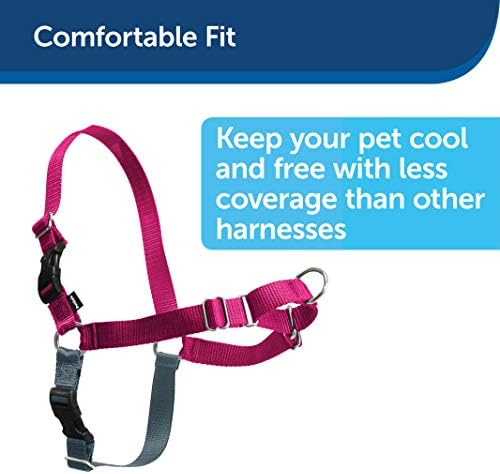 PetSafe Easy Walk No-Pull Dog Harness - Ultimate Harness to Help Stop Pulling - Pull-Free Walks - Take Control & Teach Better Leash Manners - Patented Martingale Loop Design - Raspberry, X-Large - Image 4