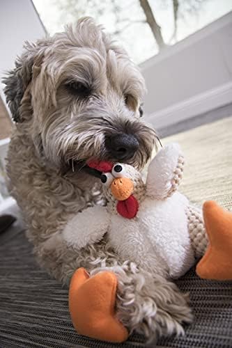 goDog Checkers Fat Rooster Squeaky Plush Dog Toy, Chew Guard Technology - White, Small - Image 5