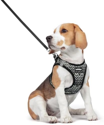 rabbitgoo Dog Harness Medium Sized and Leash Set, Step-in Puppy Pet Vest by rabbitgoo