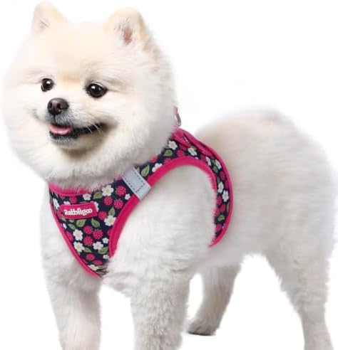 rabbitgoo Step-in Small Dog Harness, Puppy Vest for Small Sized Pet by rabbitgoo