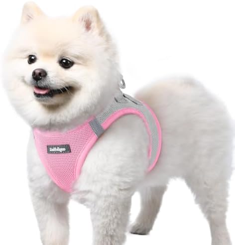 rabbitgoo Step-in Small Dog Harness, Puppy Vest for Small Sized Pet by rabbitgoo