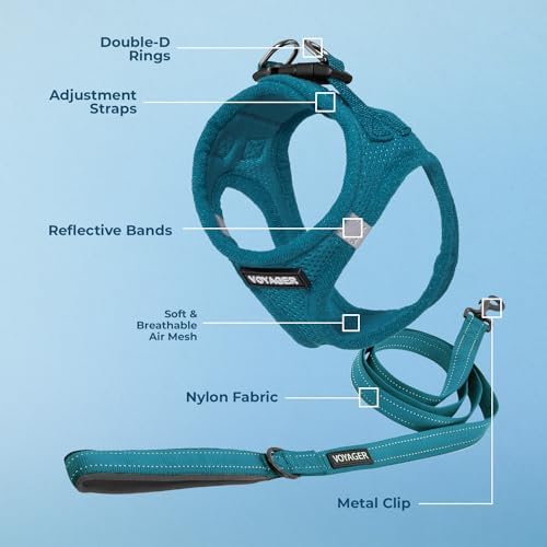 Best Pet Supplies Voyager Step-in Air All Weather Mesh Harness and Reflective Dog 5ft Leash Combo with Neoprene Handle, for Small, Medium and Large Breed Puppies - Turquoise, Small - Image 3