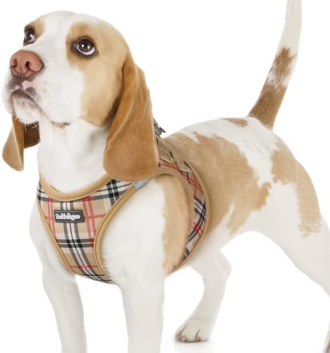 rabbitgoo Step-in Small Dog Harness, Puppy Vest for Small Sized Pet by rabbitgoo