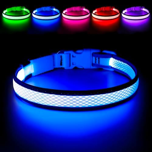 Flashseen LED Dog Collar, Light Up Dog Collar USB Rechargeable (Blue, Large) by Flashseen